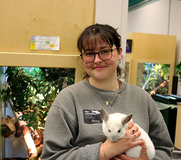 Shira Baskind, associate director of elementary camps, holding a chinchilla