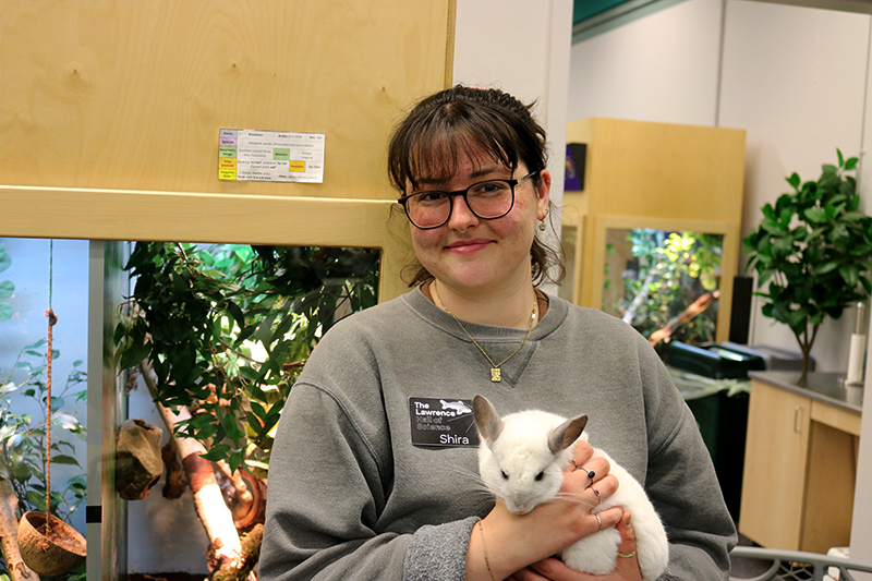 Shira Baskind, associate director of elementary camps, holding a chinchilla