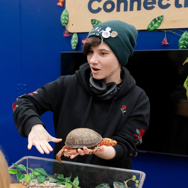 A Lawrence staff member shows off a tortoise during a Critter Connection program