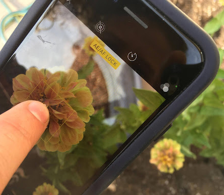 A close up of a mobile phone with an image of a flower and a finger tapping the image to edit it.