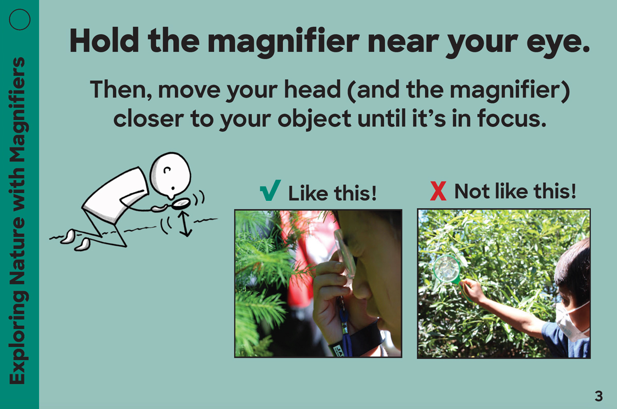 Exploring Nature with Magnifiers card: Hold the magnifier near your eye. Then, move your head (and the magnifier) closer to your object until it's in focus. Photo example of like this and not like this.