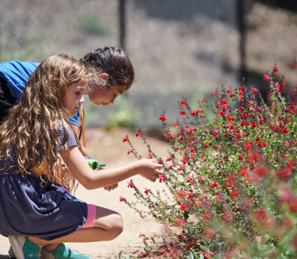 Two children are observing small red flowers in the Outdoor Nature Lab