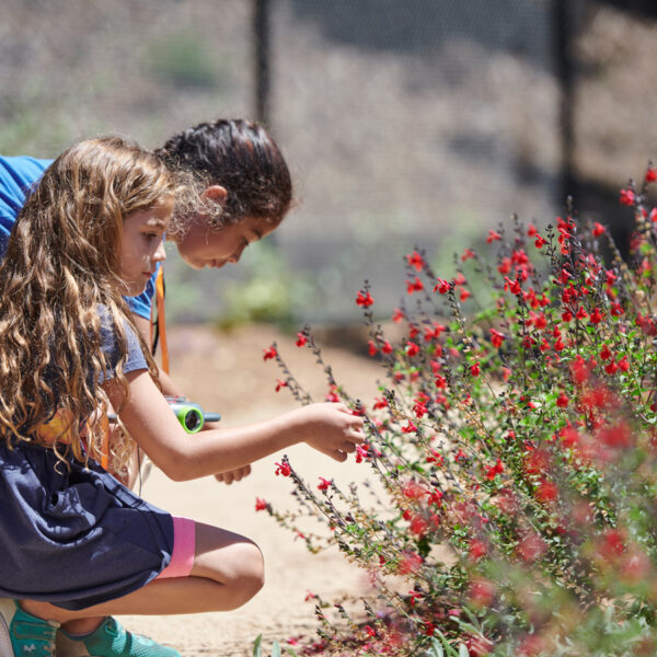 Two children are observing small red flowers in the Outdoor Nature Lab