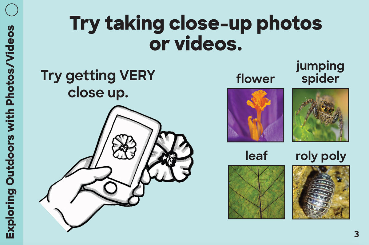 Exploring Outdoors with Photos/Videos card: Try taking close up photos or videos. Try getting very close up. Flower, leaf, jumping spider, roly poly