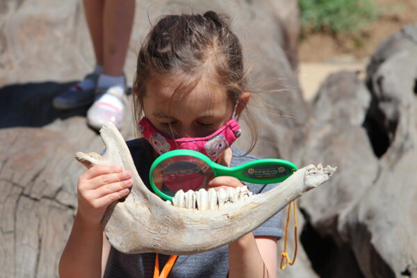 Child examining fossil with magnifying glass