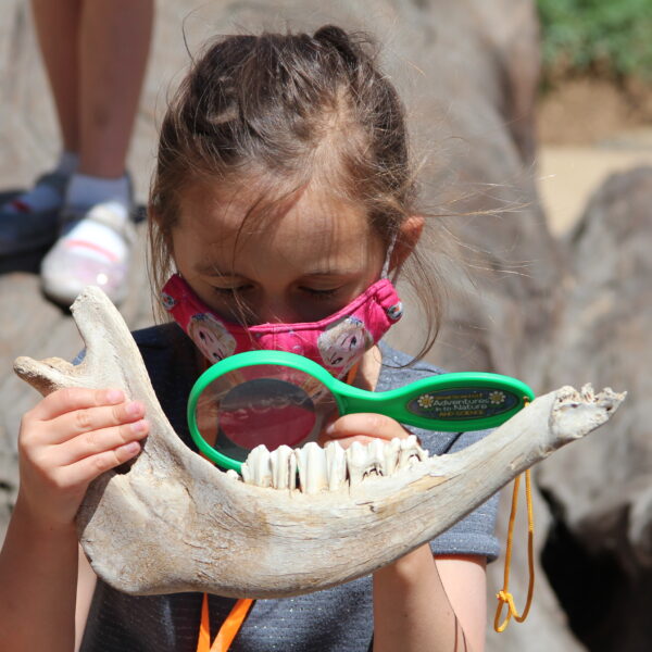 Child examining fossil with magnifying glass
