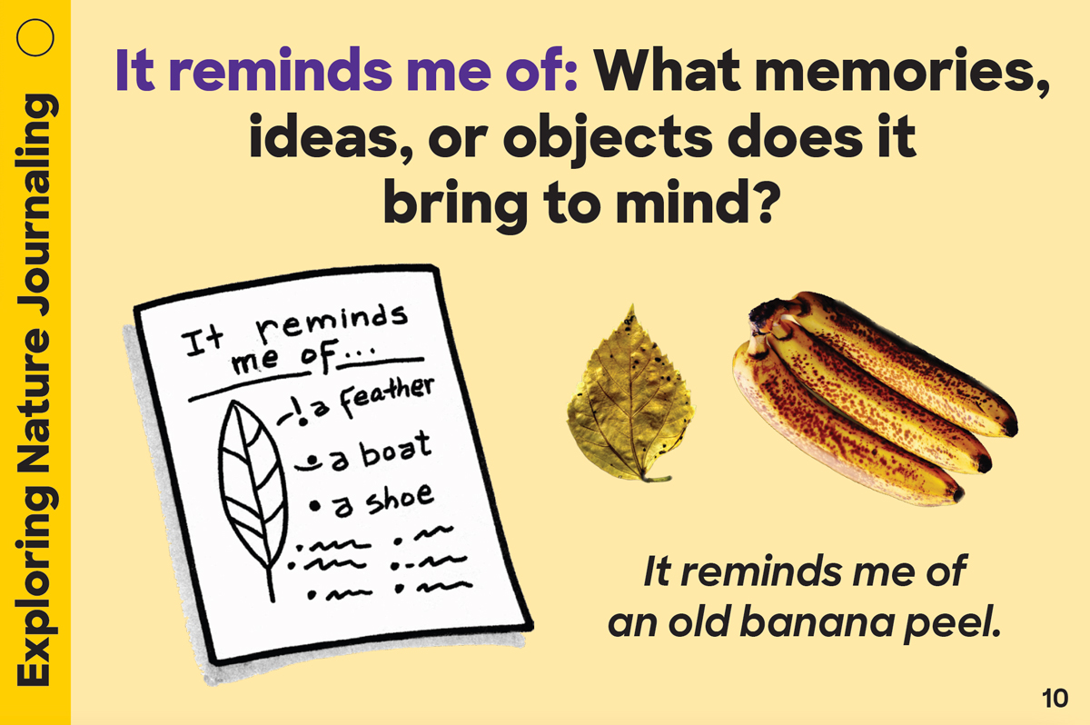 Exploring Nature Journaling Card: It reminds me of: What memories, ideas, or objects does it bring to mind? It reminds me of an old banana peel.
