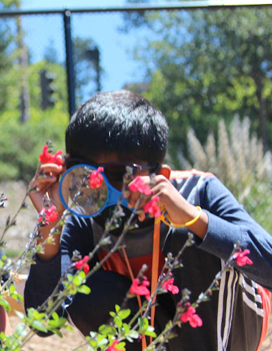 A child uses a hand lens to observe nature in the Outdoor Nature Lab