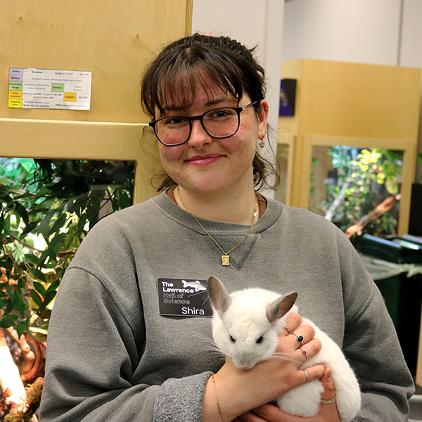 Associate Director of Elementary Camps Shira Baskind holding a chinchilla in the Animal Discovery Zone