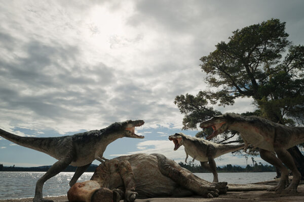 Four dinosaurs; three T-Rex dinosaurs are roaring.
