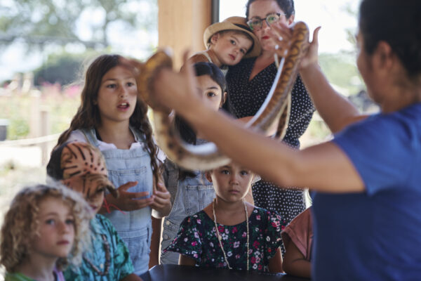 Children and adults experiencing a snake presentation at an educational event, with a handler showing a snake to an engaged audience.