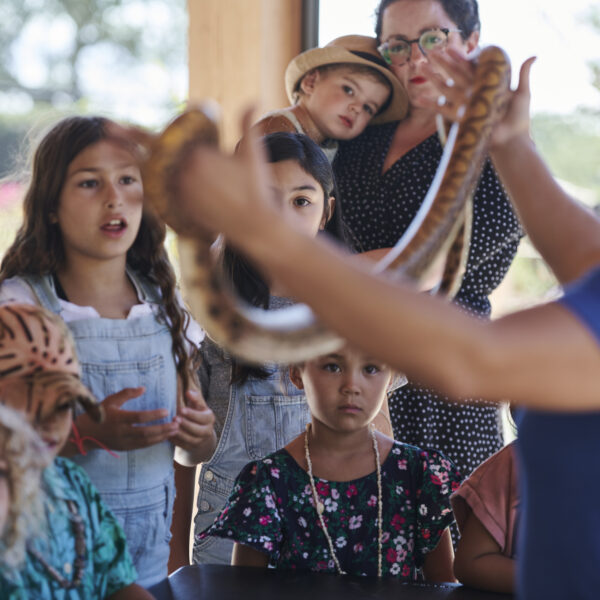 Children and adults experiencing a snake presentation at an educational event, with a handler showing a snake to an engaged audience.