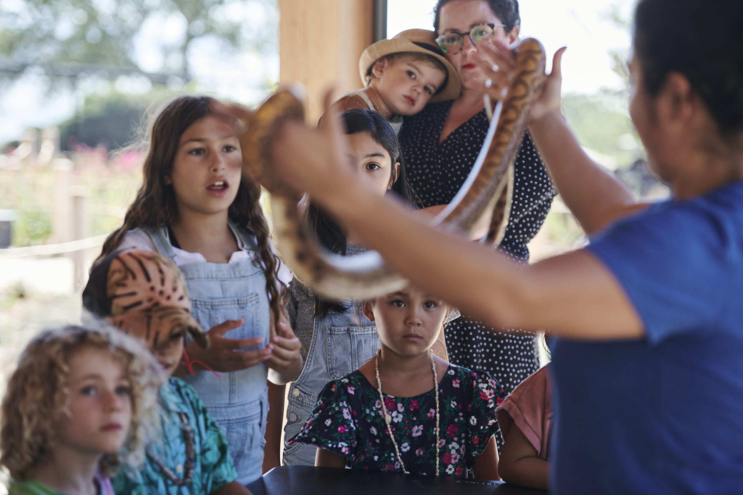 Children and adults experiencing a snake presentation at an educational event, with a handler showing a snake to an engaged audience.