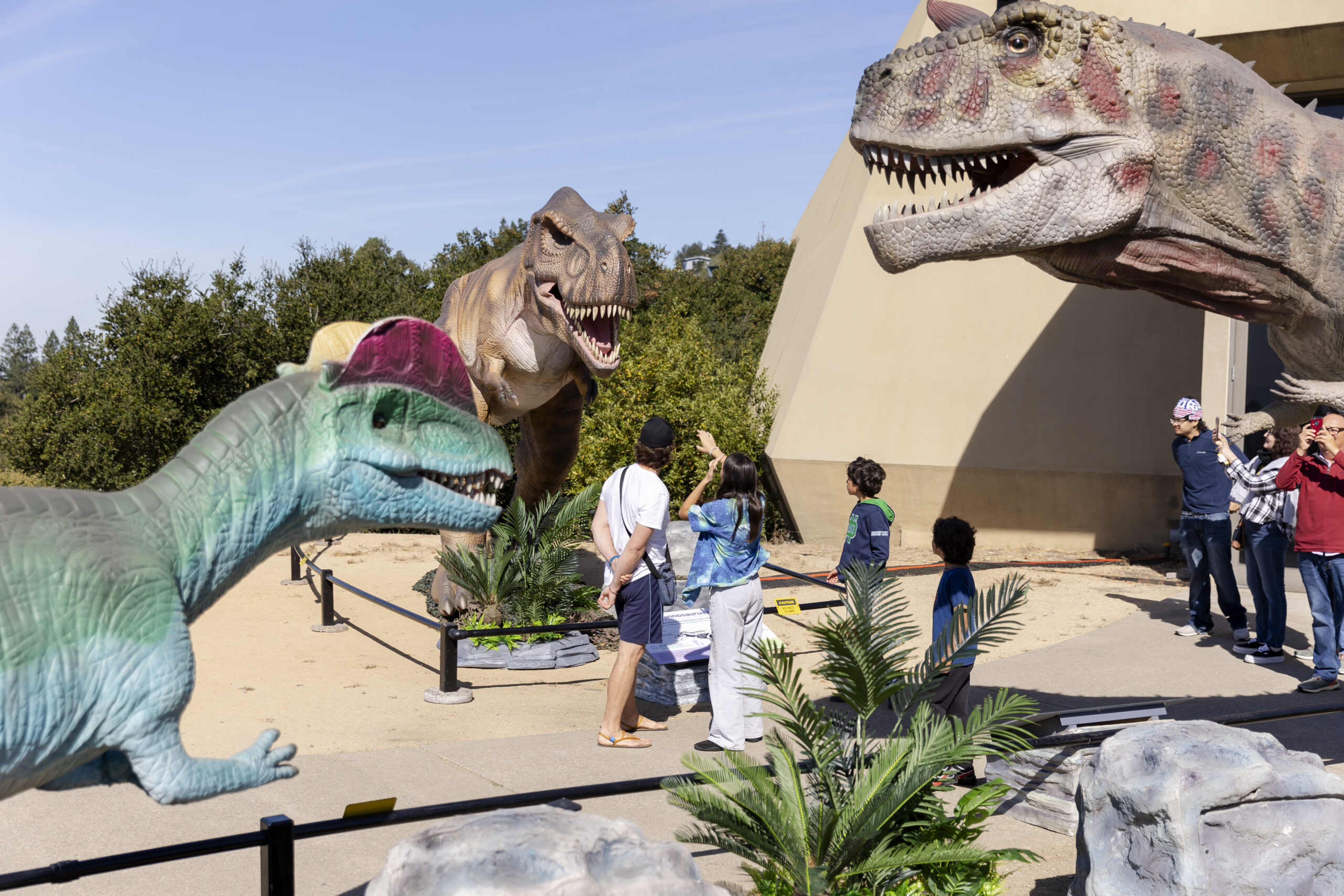 Visitors interacting with large, lifelike dinosaur models, including a Tyrannosaurus rex, outdoors on a sunny day.