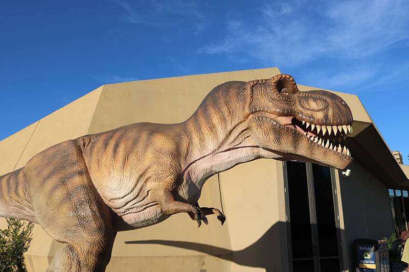 A life-sized T. rex model in the Dinosaur Lookout exhibit at The Lawrence