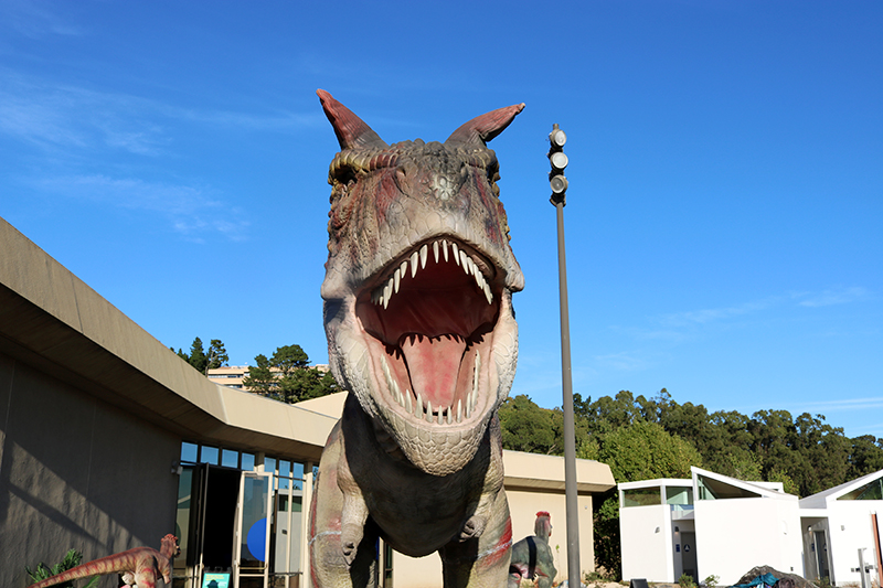 A closeup of carnotaurus