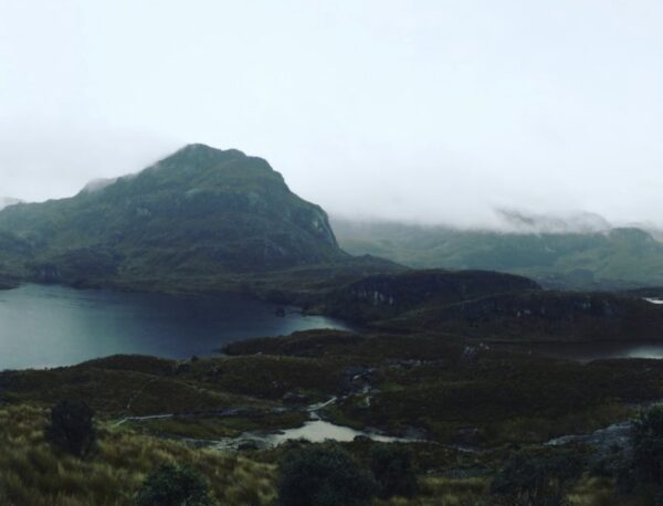 Panoramic view of a misty landscape featuring rolling hills, a serene lake, and scattered patches of greenery under a cloudy sky.