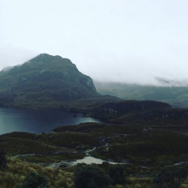 Panoramic view of a misty landscape featuring rolling hills, a serene lake, and scattered patches of greenery under a cloudy sky.