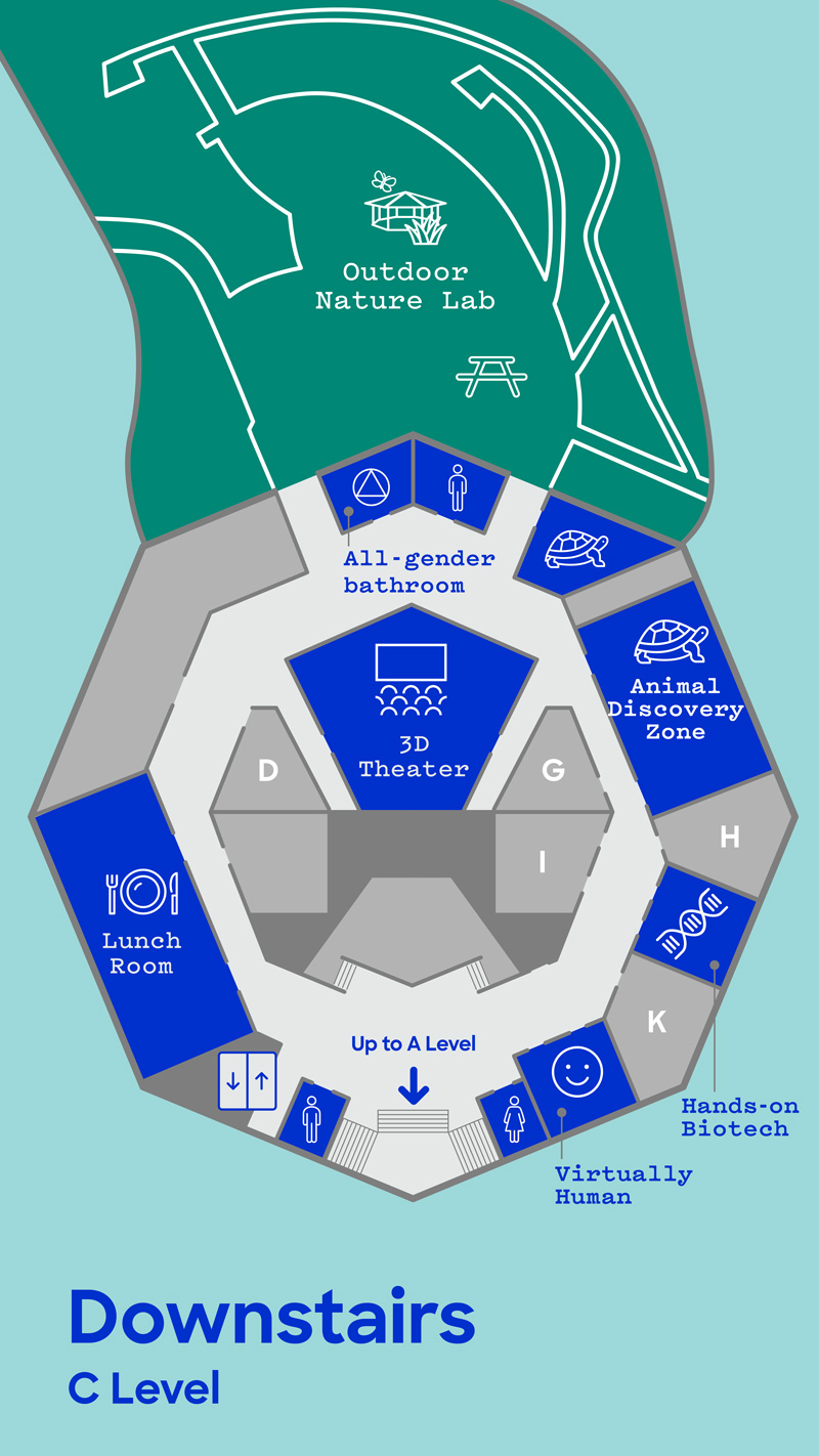 Map of The Lawrence Hall of Science: Downstairs C-Level