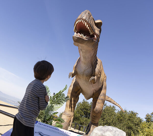 A small visitor looking up at a life-sized T. rex model