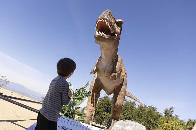 A child looking up at a life-sized T. rex model