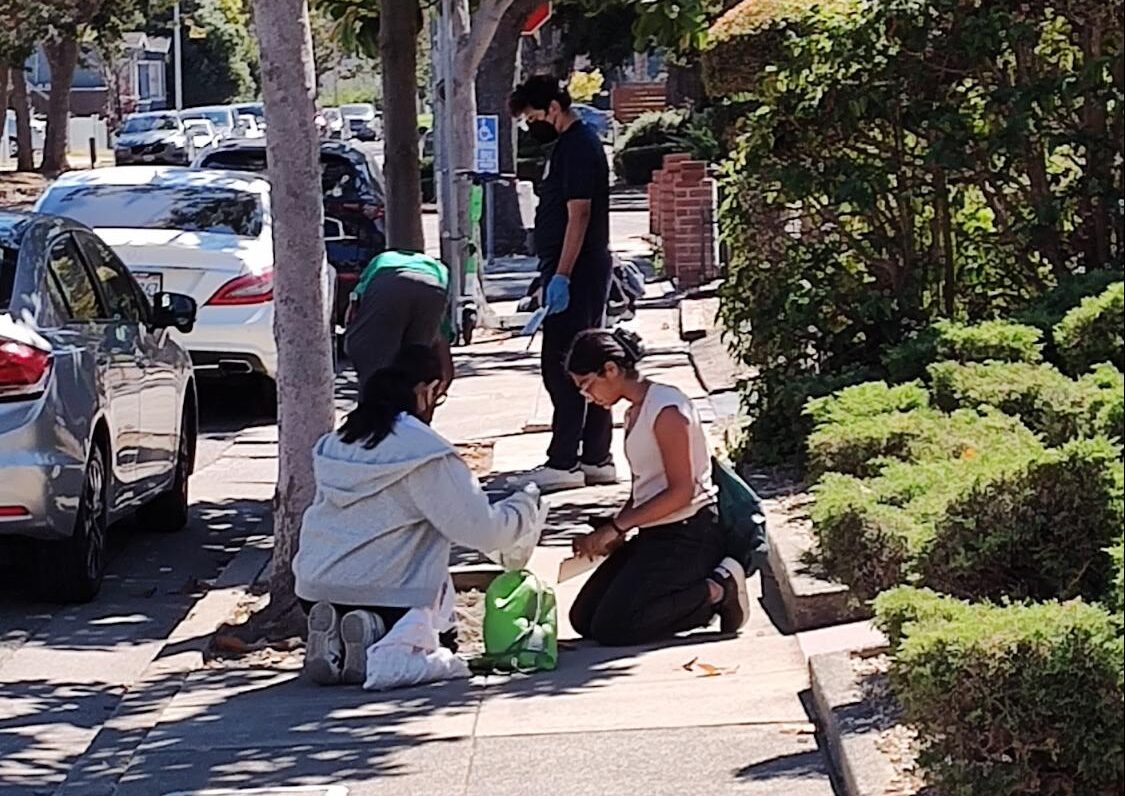 Students on a city sidewalk doing environmental science research.