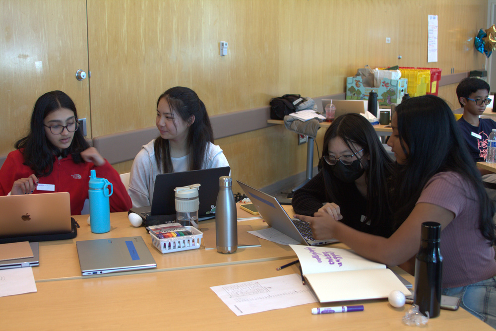 A group of young women collaborating on their laptops.