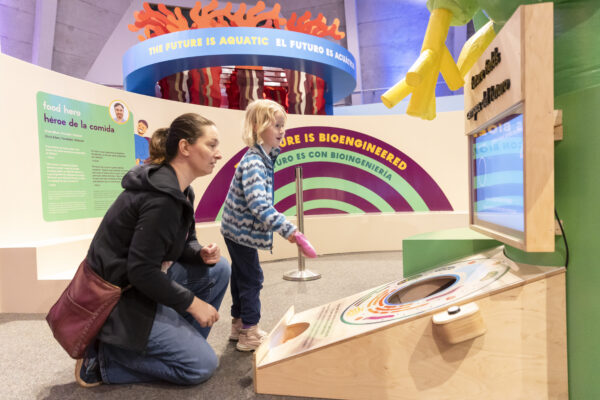 Two visitors are interacting with a corn toss exhibit