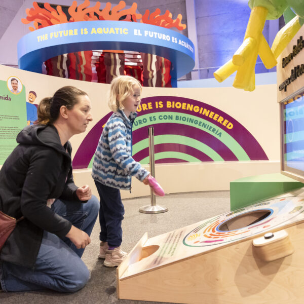 Two visitors are interacting with a corn toss exhibit