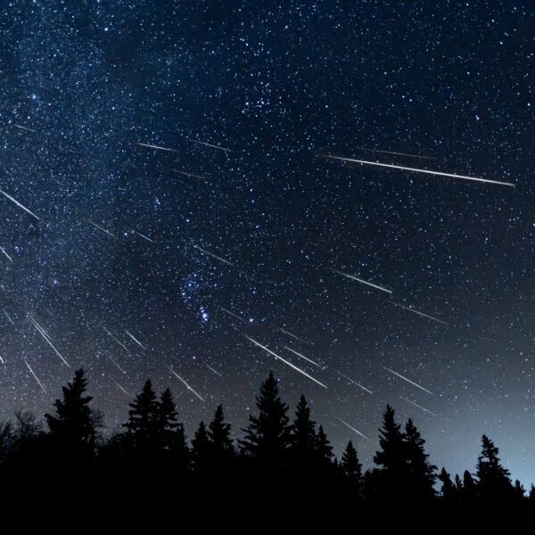 Meteor shower with 44 meteors and the milky way in the background.