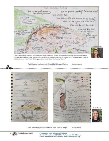 1. Model Field Journal Pages preview