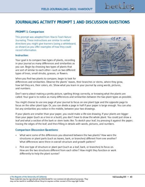2. Journal Activity Prompts preview