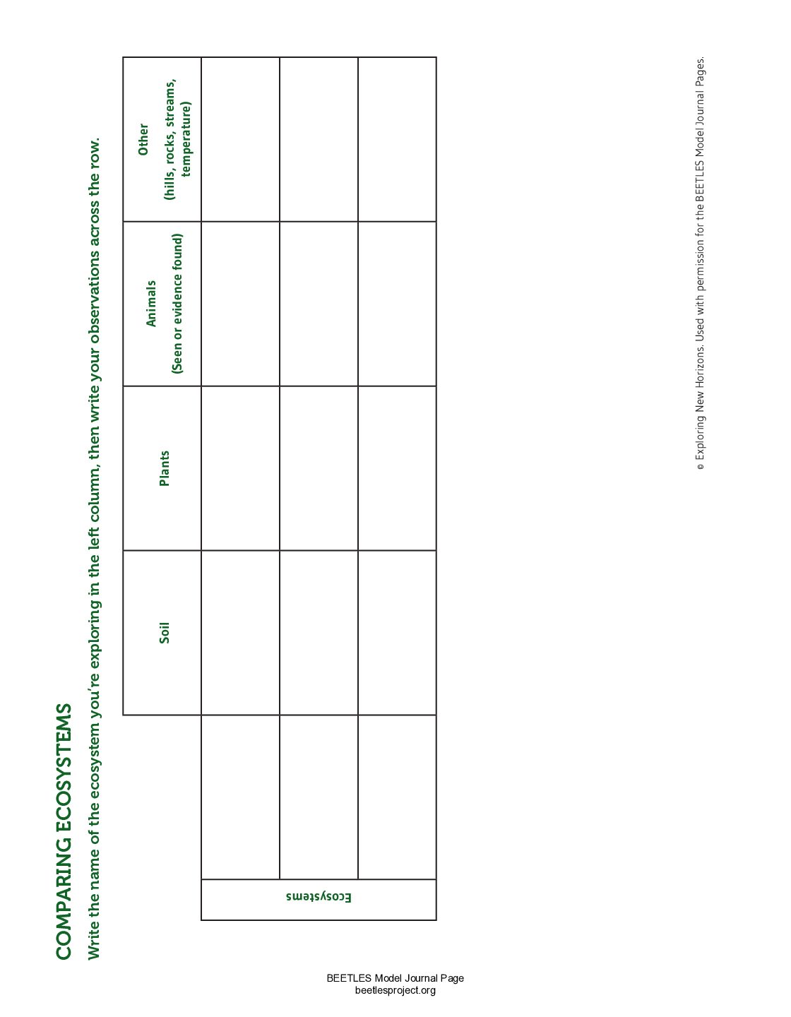 2. Activity Specific preview