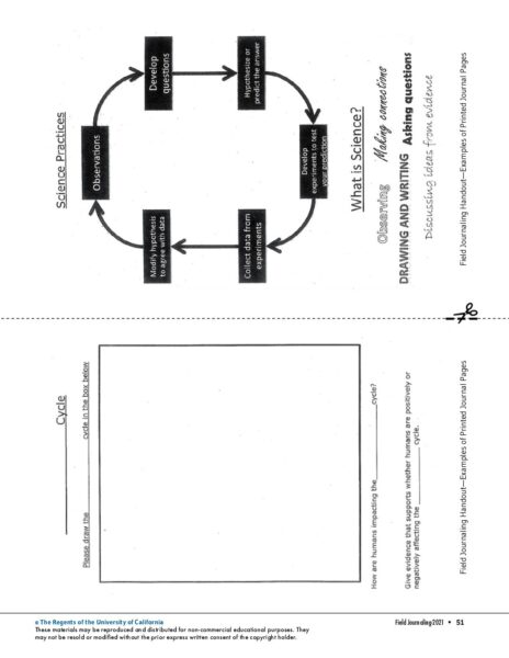 3. Examples Of Printed Journal Pages preview