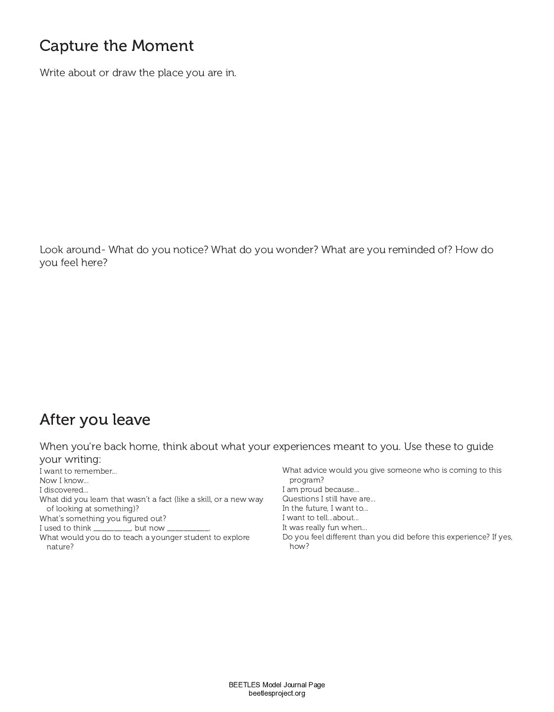3. Reflection preview