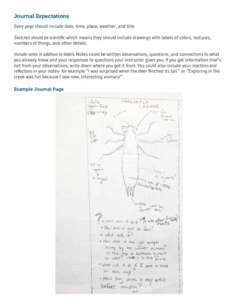 4. Example Of Scientific Sketchexpectations preview