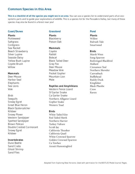5. Species List preview