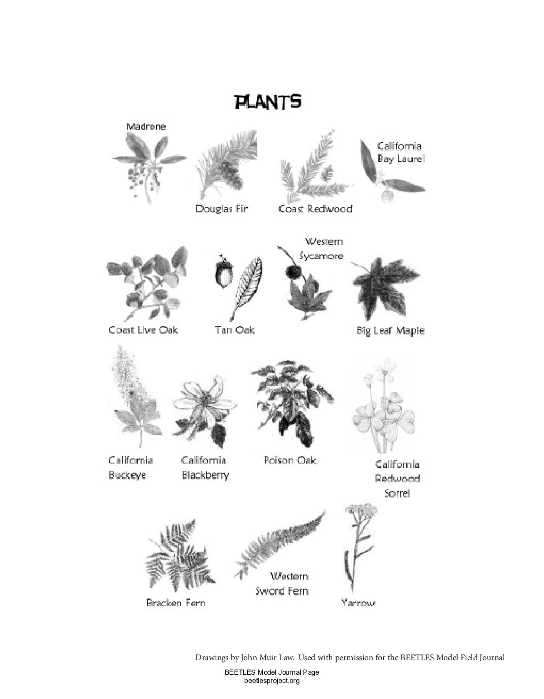 6. Field Guide preview