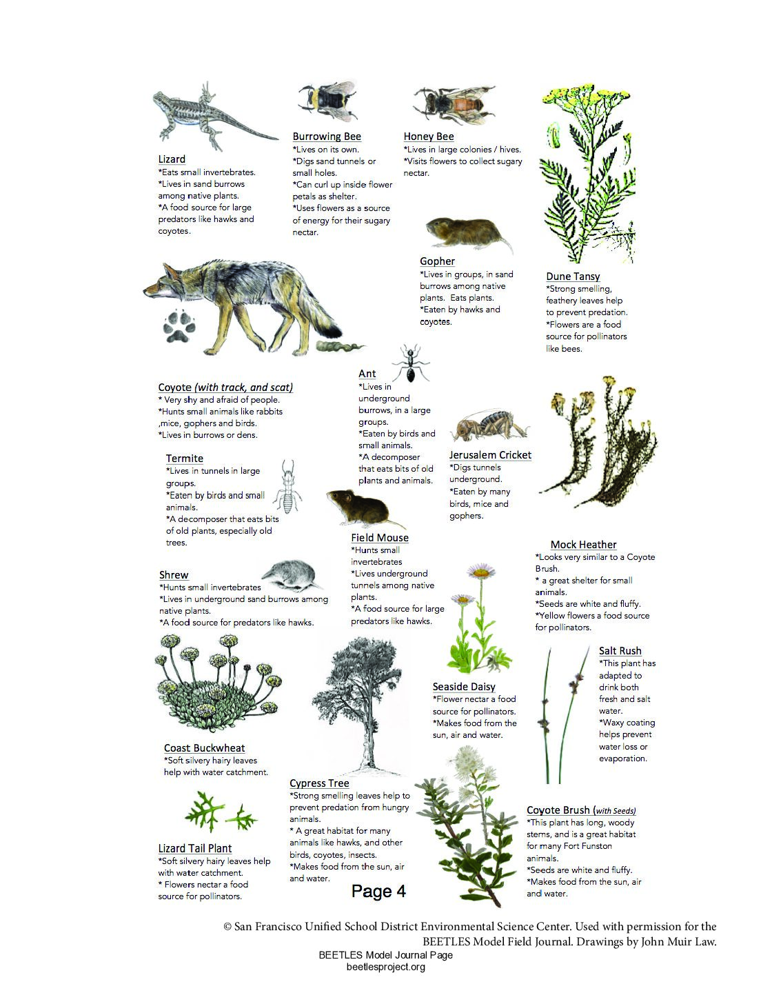 6a. Field Guide With Text preview
