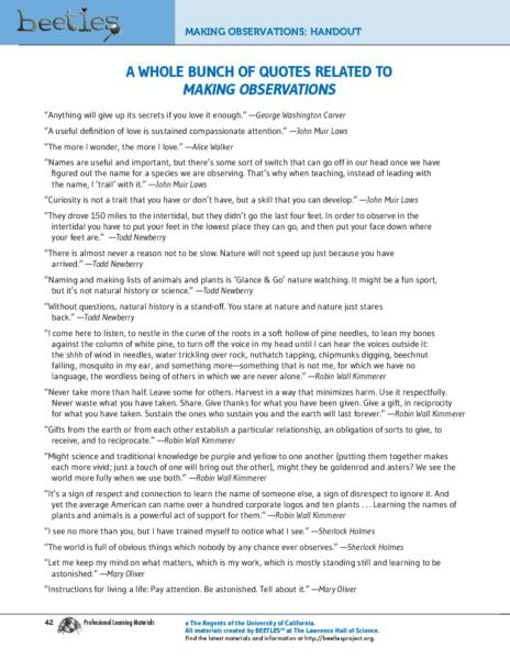 A Whole Bunch Of Quotes Related To Making Observations preview