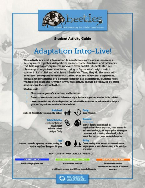 Adaptation Intro Live preview