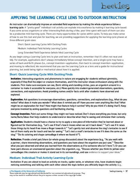Applying The Learning Cycle Lens To Outdoor Instruction preview