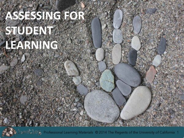 Assessing For Student Learning Slides preview