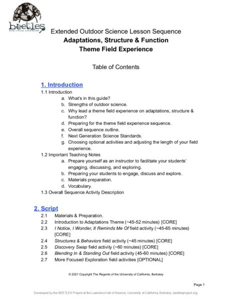 BEETLES Adaptations Structures And Function preview