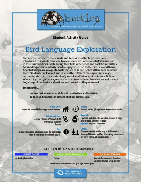 Bird Language Exploration preview