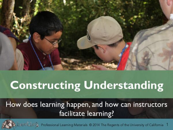Constructing Understanding Slides preview