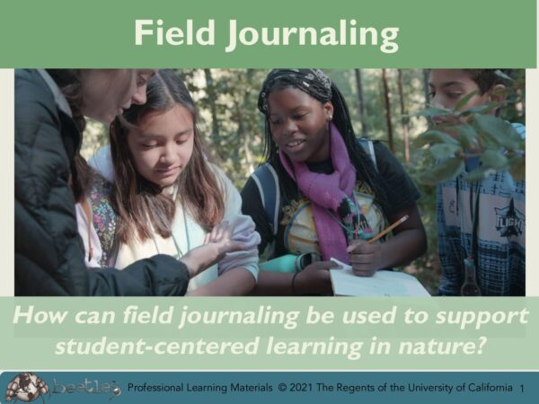 Field Journaling SLIDES preview