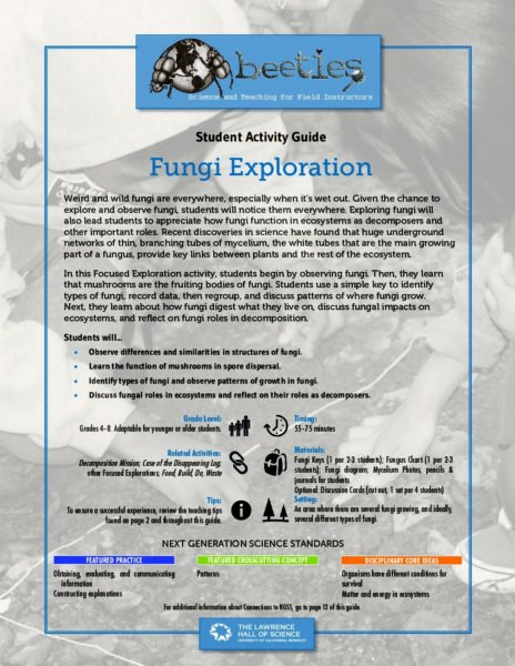 Fungi Exploration preview