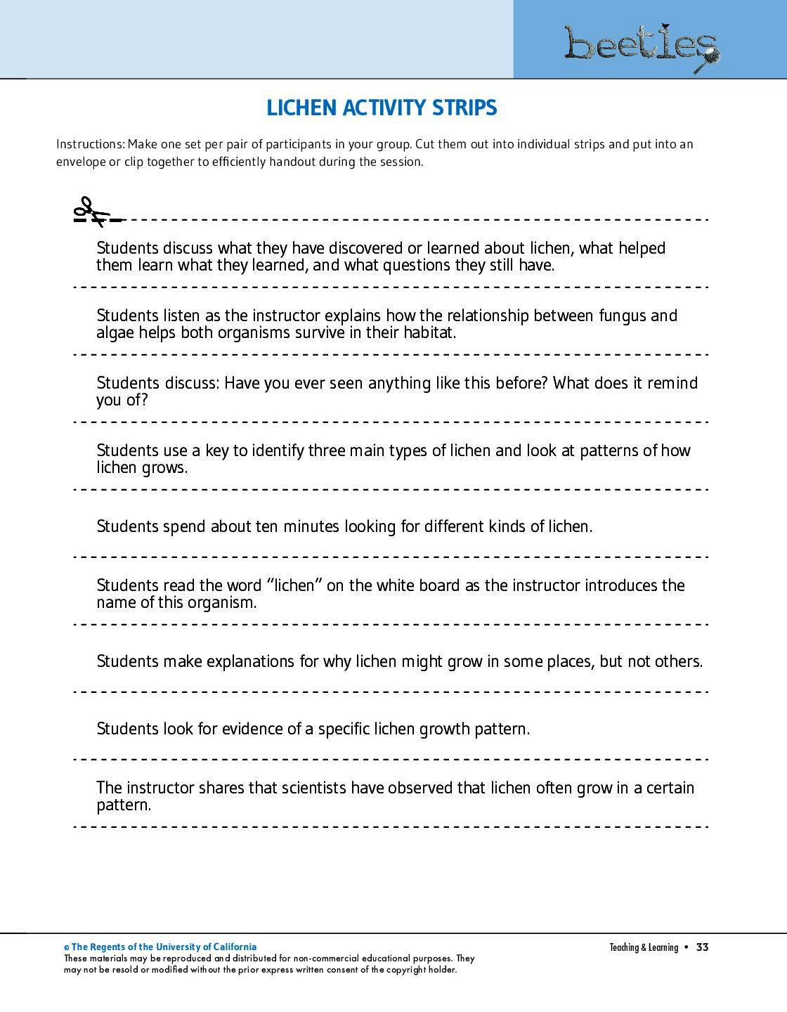 Lichen Activity Strips preview
