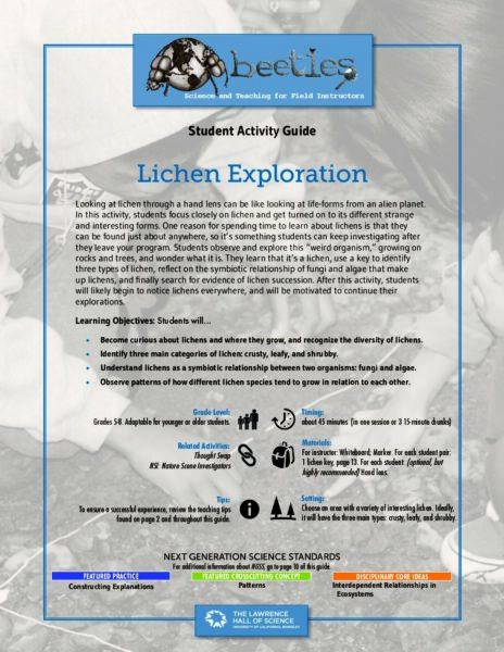 Lichen Exploration preview